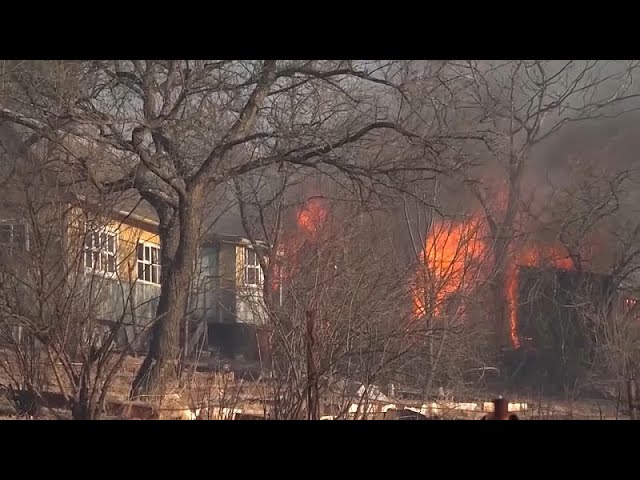 La temporada de incendios forestales en Siberia comienza antes de tiempo