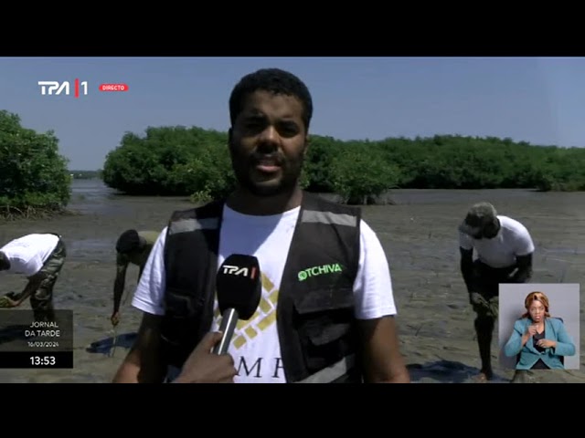 Ilha do mussulo - Militares juntam se á plantação de mangues