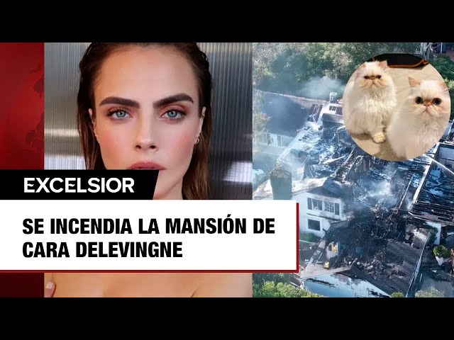 Se incendia la mansión de Cara Delevingne y sus gatos estaban adentro ¿sobrevivieron?