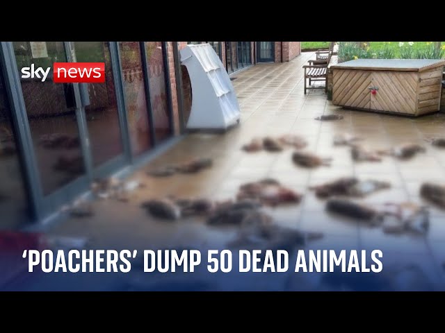 'Poachers' dump 50 dead animals outside community shop