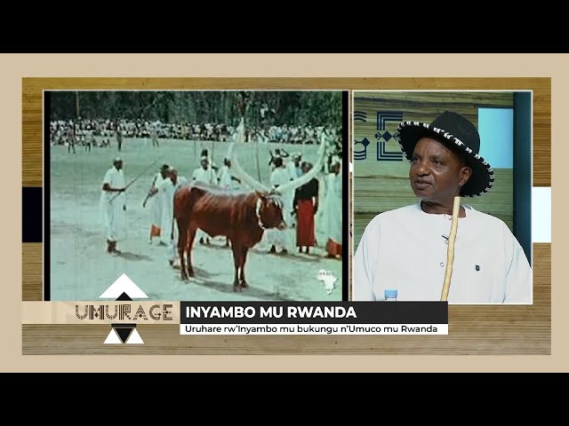 ⁣#UMURAGE: Uruhare rw'Inyambo mu bukungu n'umuco mu Rwanda
