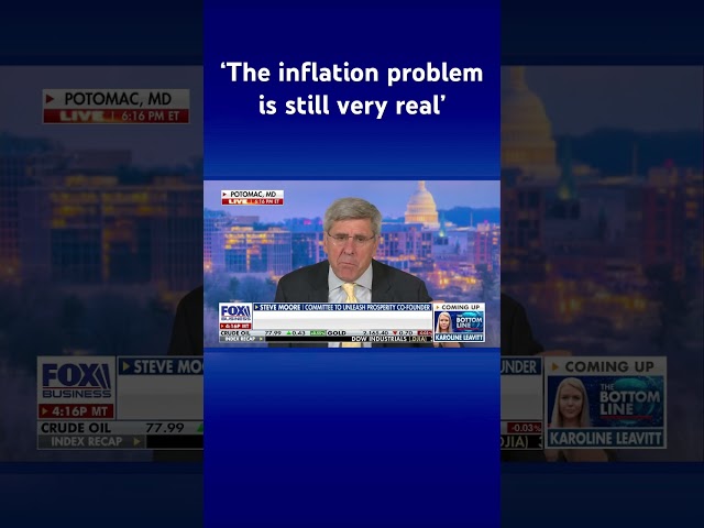 The inflation dragon has not been slayed: Steve Moore #shorts