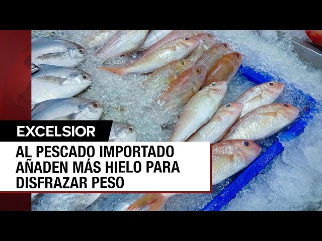 Pescados y mariscos importados contienen un 60% de hielo para disfrazar peso