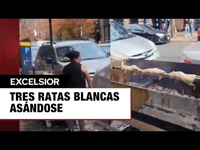 Captan a mujer cocinando ratas gigantes en las calles de Nueva York