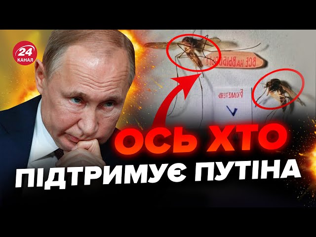 ПОДИВІТЬСЯ, хто голосує за Путіна! Вибори в Росії доводять людей до ручки