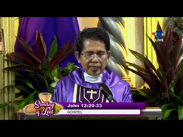 11:00 AM | LIVE SUNDAY MASS | March 17, 2024  |  Rev. Fr.  Jose Adonis Niñal Aquino (Dondon)