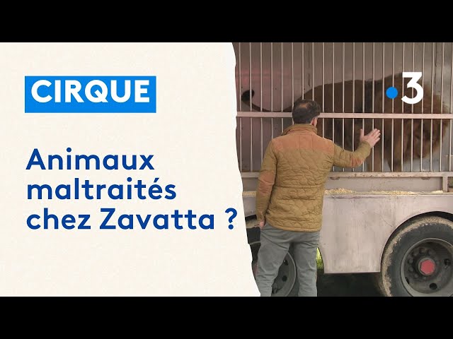 ⁣Cirque : polémique autour des animaux du cirque Zavatta à Angoulême