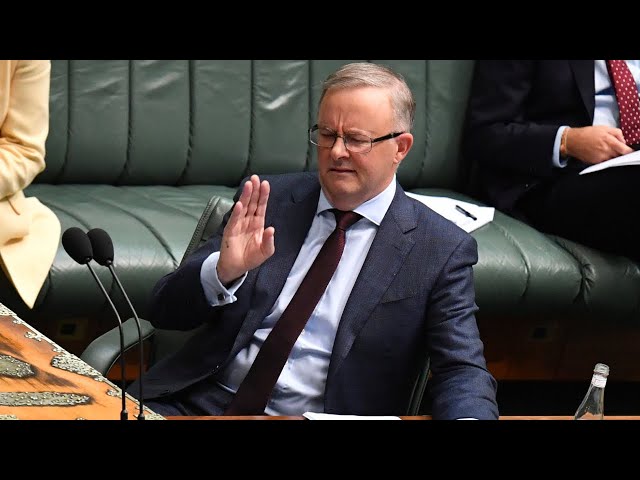 Albanese ‘insists’ cars are not being ‘banned’ in emission standards market intervention