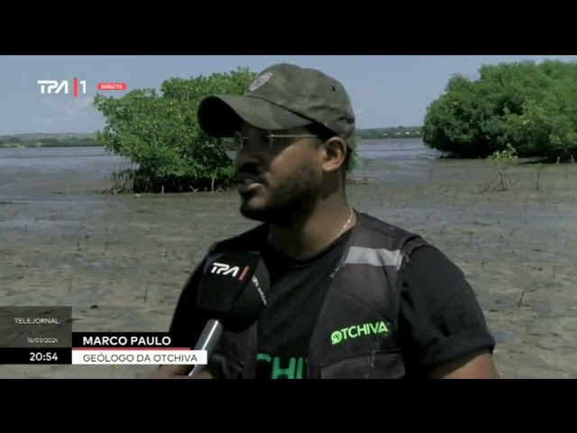 Mussulo, Luanda - Plantados 20 mil mangues