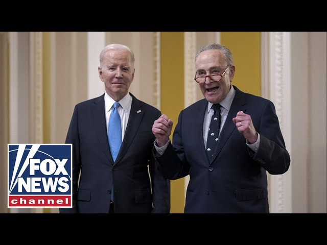 Expert blasts Schumer for sharp comments against Netanyahu: He should be ‘ashamed’