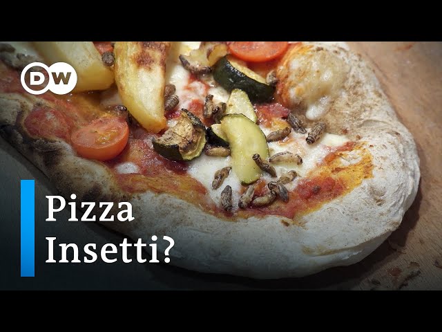 ⁣Start-Up in Italien züchtet Grillen als Pizzabelag | Fokus Europa