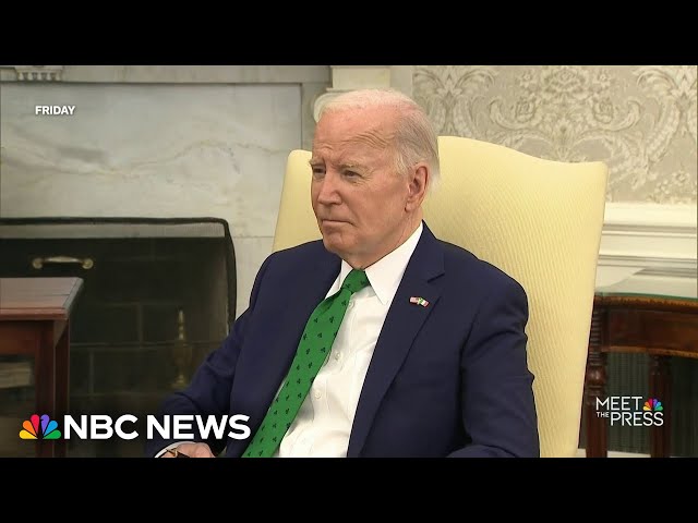 Biden has grown angry and anxious about re-election campaign: Panel