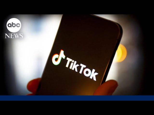 TikTok’s fate in the balance as Senate takes up bill House passed