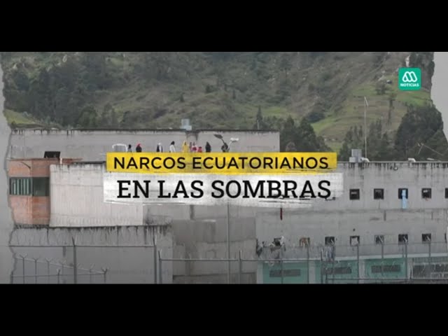 Narcos ecuatorianos en las sombras: Miembros de sus bandas ya habrían llegado a Chile