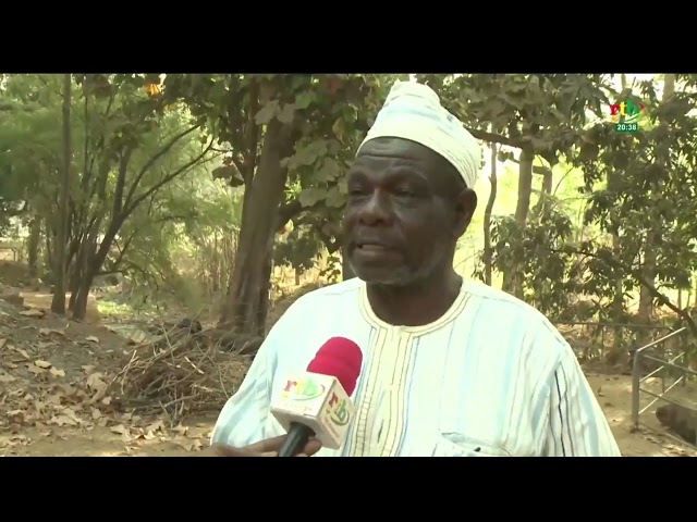 Culture et tradition : le marigot Houet abritant les silures sacrés de Dafra est menacé de pollution