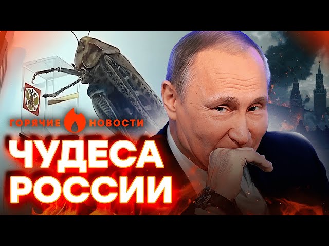 ⁣Самая КРИНЖОВАЯ АГИТАЦИЯ  В России голосуют НЕ ТОЛЬКО ЛЮДИ... | ГОРЯЧИЕ НОВОСТИ 18.03.2024