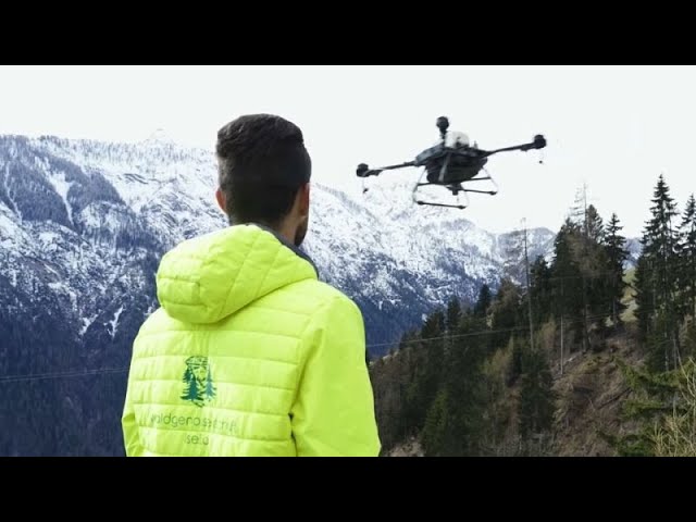 Drohnen gegen den Borkenkäfer - im Pustertal in Österreich