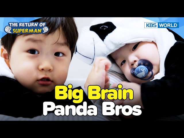 Eunwoo Activates His Big Brain [The Return of Superman:Ep.517-1] | KBS WORLD TV 240317