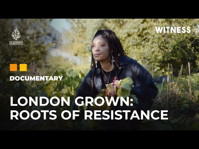 London Grown: Fighting food insecurity in one of the world’s richest cities | Witness Documentary