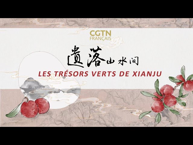 Les trésors verts de Xianju