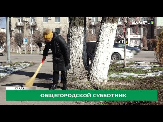 ⁣Общегородской субботник