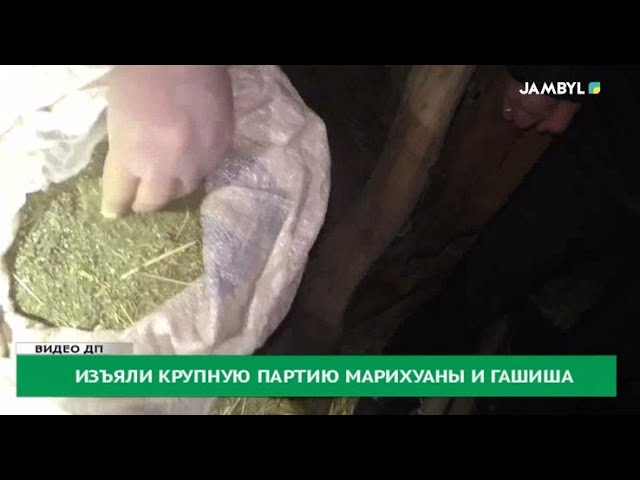 Изъяли крупную партию марихуаны и гашиша