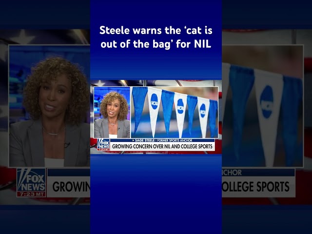 ‘I HATE IT’: Sage Steele shreds NIL, says its ‘too late’ to go back #shorts