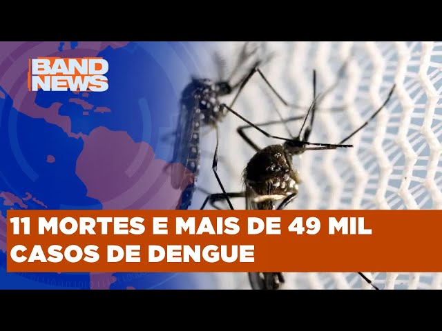 Prefeitura de SP decreta estado de emergência em saúde | BandNews TV