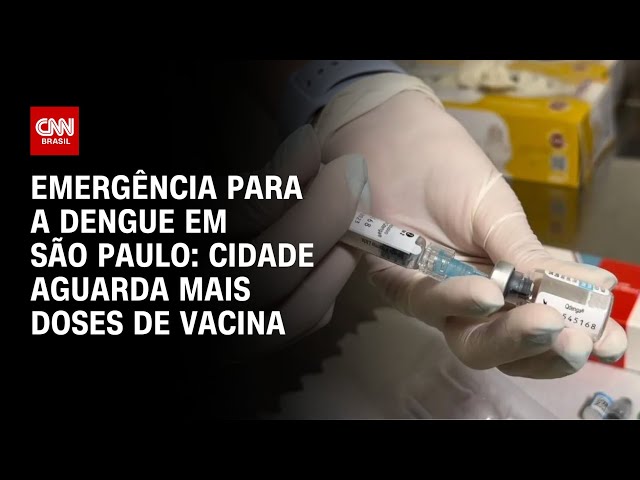 São Paulo em emergência para a dengue: cidade aguarda mais doses de vacina | BRASIL MEIO-DIA