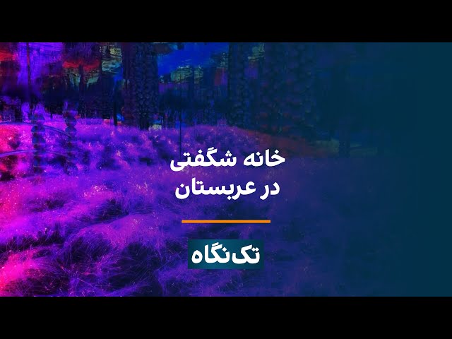 تک‌نگاه - خانه شگفتی در عربستان