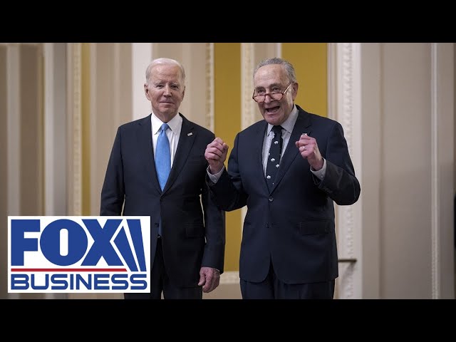 'NO GUTS': Senator calls Chuck Schumer Joe Biden's 'waterboy'