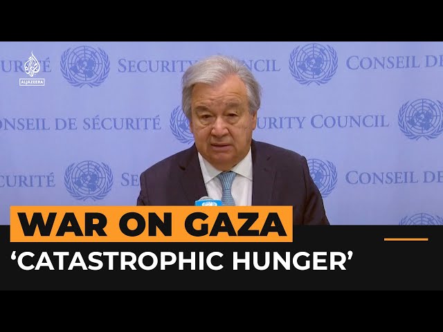 UN-backed report says famine ‘imminent’ in northern Gaza | #AJshorts