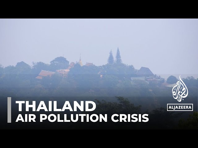 Thailand's seasonal crop burning sparks air pollution and health crisis