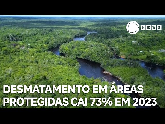 Desmatamento em áreas protegidas na Amazônia cai 73% em 2023