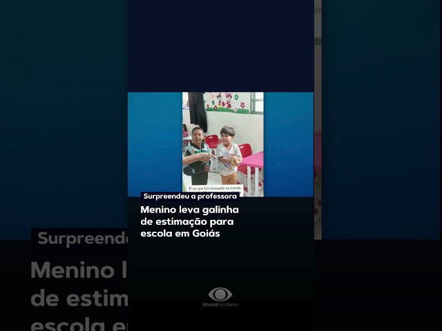 Menino leva galinha para escola em Goiás #shorts