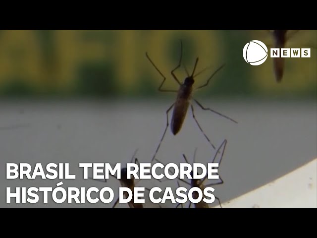 Brasil tem recorde histórico de casos de dengue