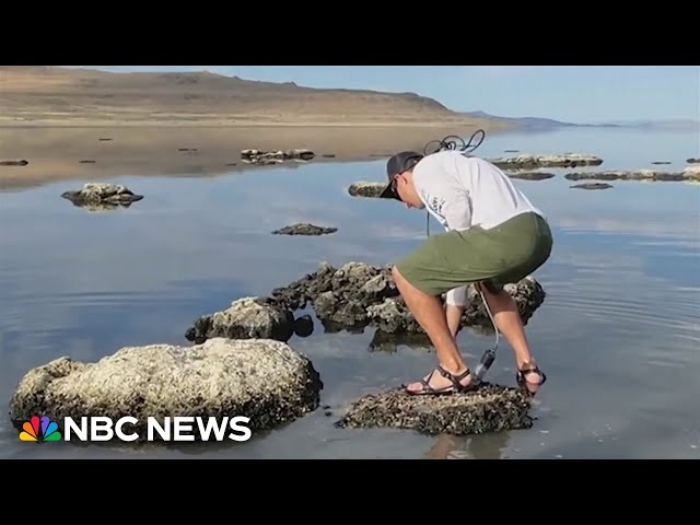 Scientists in Utah discover new species of roundworms