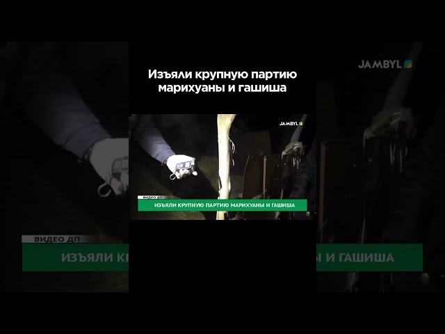 ⁣Изъяли крупную партию марихуаны и гашиша #shortvideo #shorts #jambyltv #жамбылтв #таразтв #новости