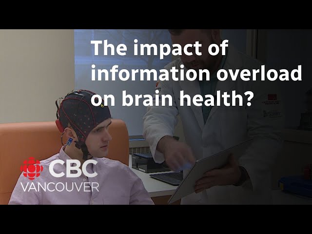 ⁣Information overload can be detrimental to brain health: researchers