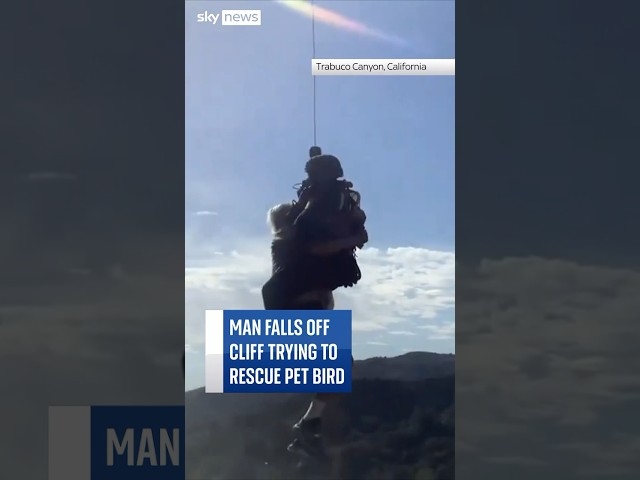 Man falls off cliff trying to rescue pet bird #skynews