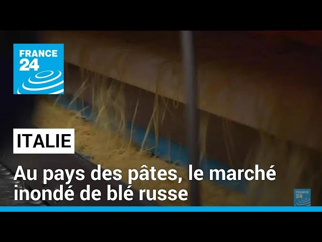 ⁣Le marché italien inondé de blé russe • FRANCE 24