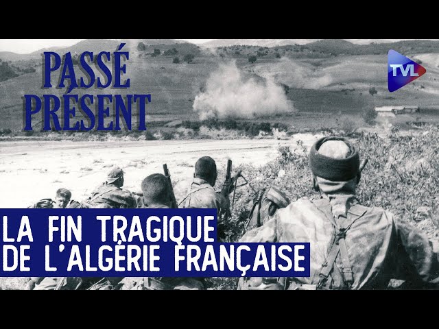 Chasses à l'homme, massacres et exode : le martyr des pieds-noirs - Le Nouveau Passé-Présent - 