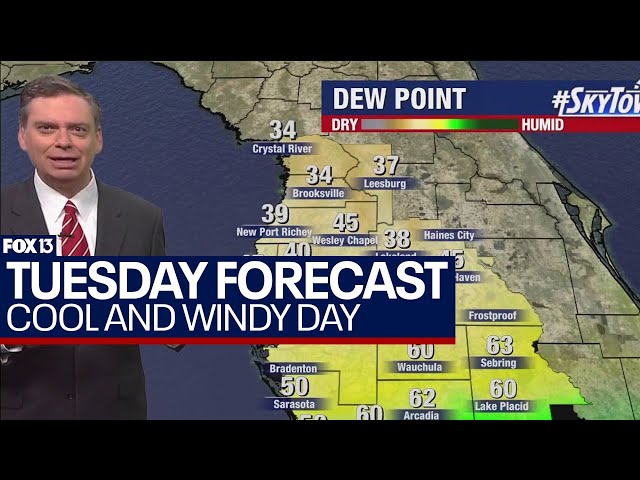 Tampa weather | cool and windy conditions persist on March 19, 2024