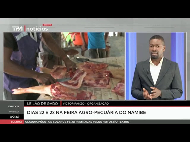 Leilão de gado -  Dias 22 e 23 na feira agro-pecuária do Namibe