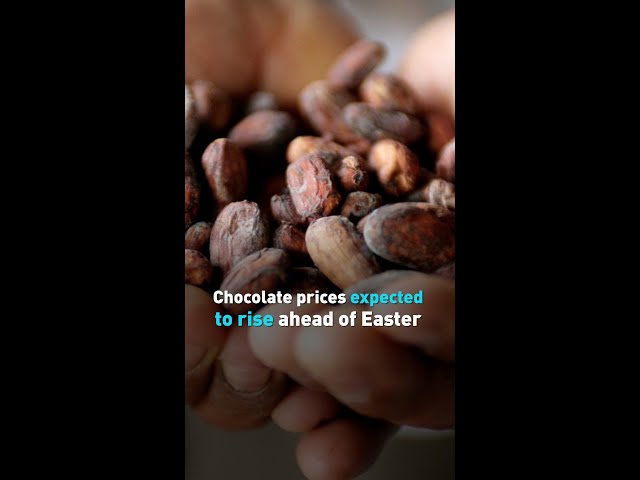 Chocolate prices expected to rise ahead of Easter