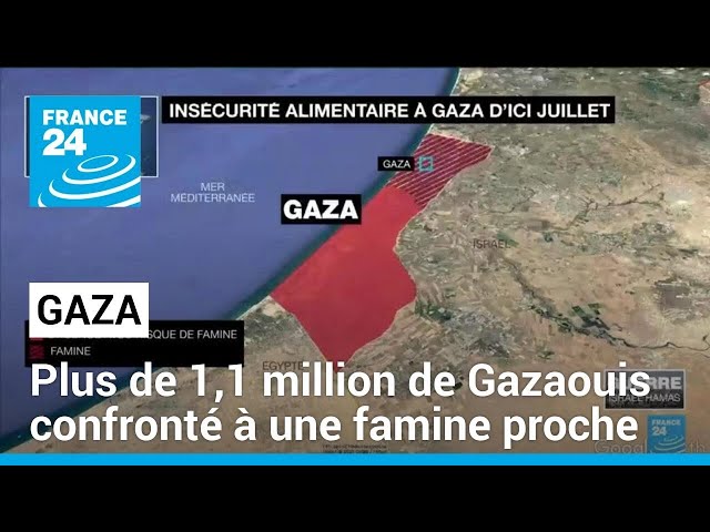 Famine imminente à Gaza selon l'ONU • FRANCE 24