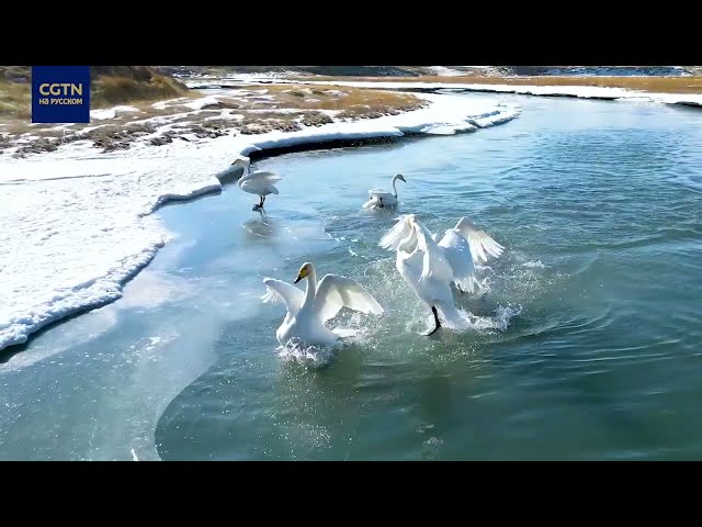 ⁣Сказочные по красоте природные пейзажи в Байинбулуке