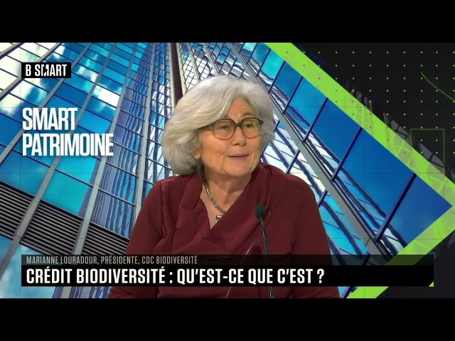 SMART PATRIMOINE - Le crédit biodiversité : qu'est-ce que c'est ?