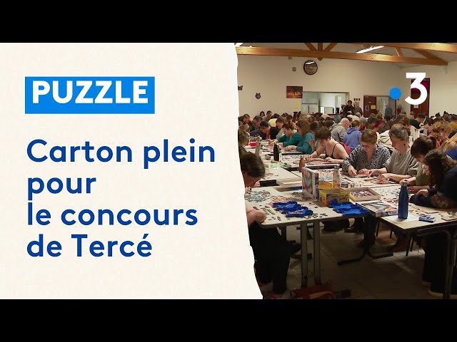 Puzzle : carton plein pour le concours de Tercé