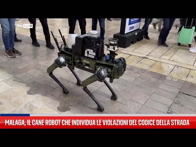 Malaga, il cane robot che individua le violazioni stradali